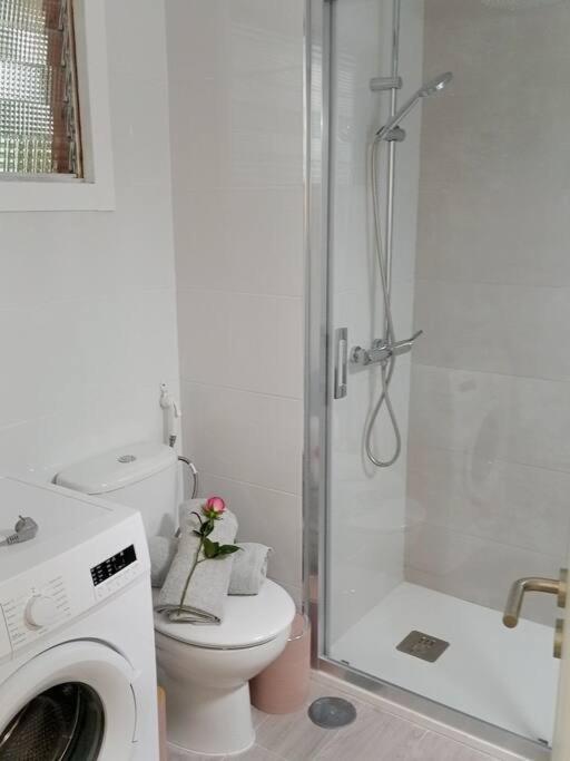 Centrico Y Encantador Estudio En Puerto De La Cruz Екстериор снимка