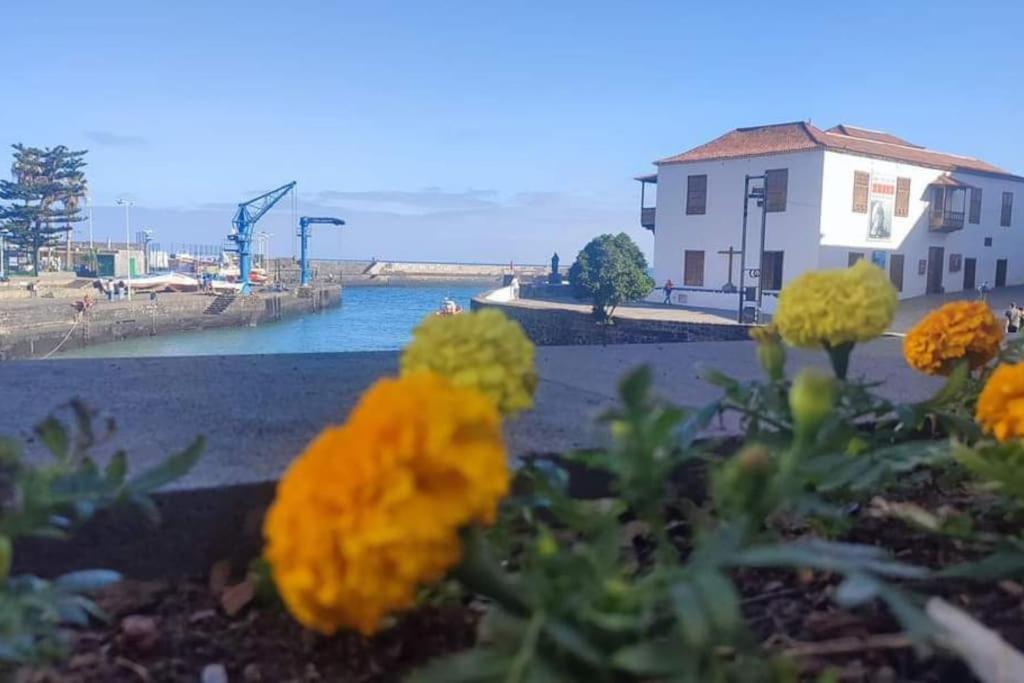 Centrico Y Encantador Estudio En Puerto De La Cruz Екстериор снимка