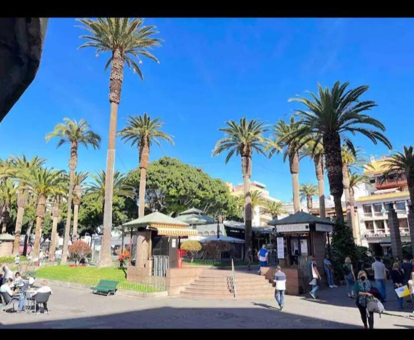 Centrico Y Encantador Estudio En Puerto De La Cruz Екстериор снимка